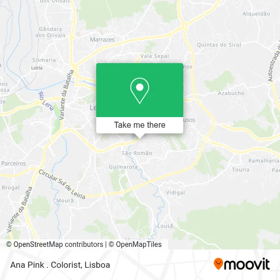 Ana Pink . Colorist map