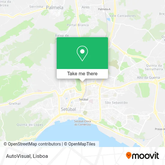 AutoVisual map