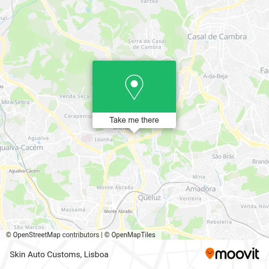 Skin Auto Customs map