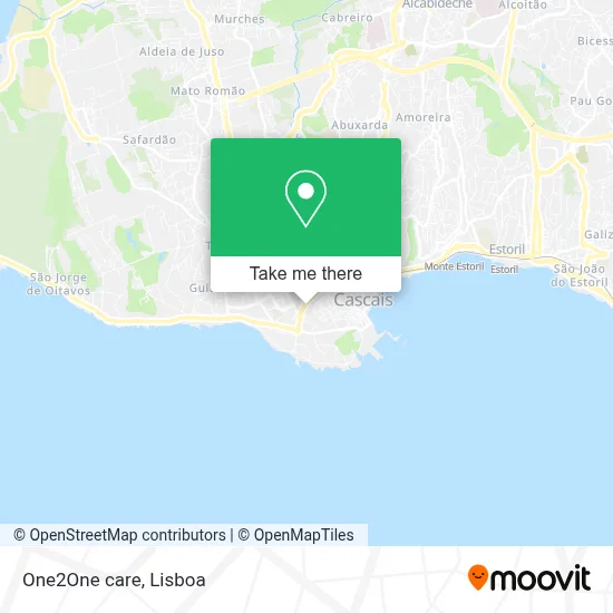 One2One care map