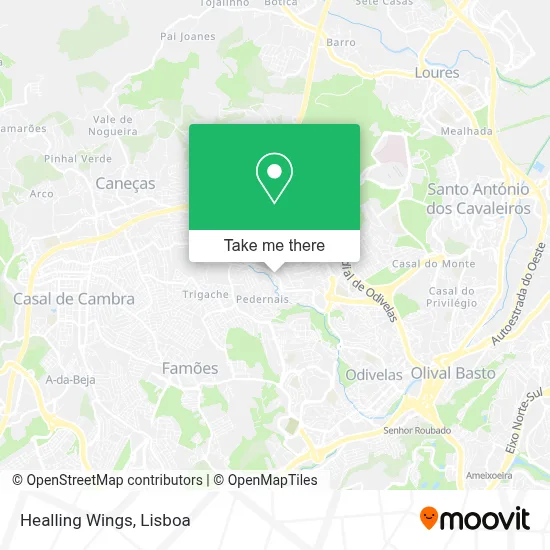 Healling Wings map