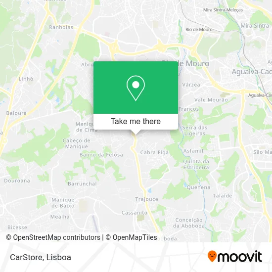 CarStore map