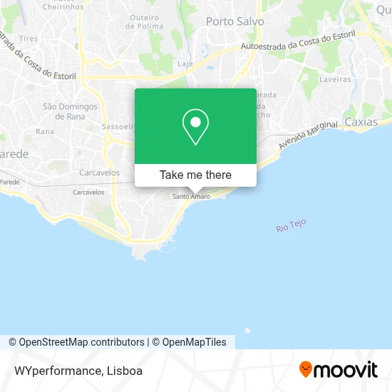 WYperformance map