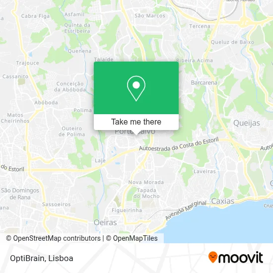 OptiBrain map