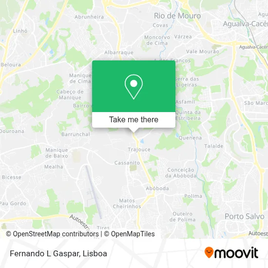 Fernando L Gaspar map
