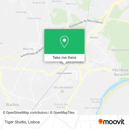 Tiger Studio map
