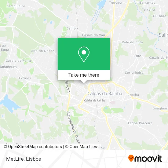 Metlife map