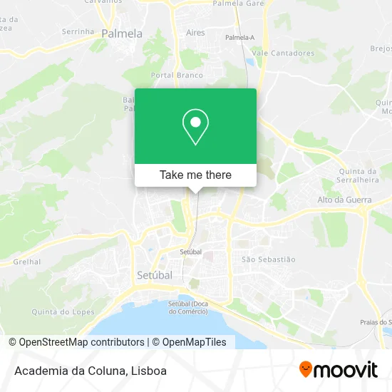 Academia da Coluna map