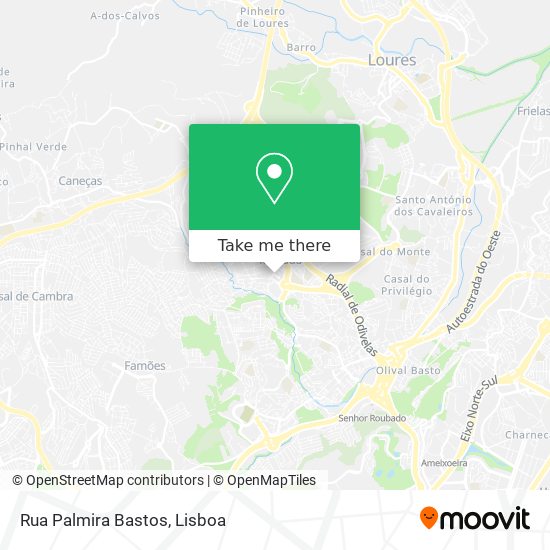 Rua Palmira Bastos mapa