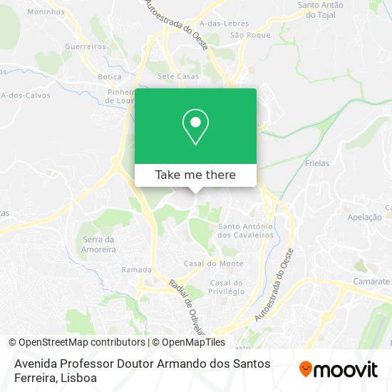 Avenida Professor Doutor Armando dos Santos Ferreira mapa