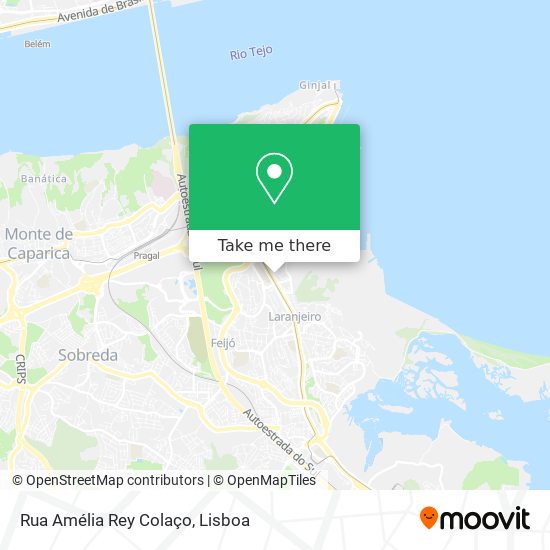 Rua Amélia Rey Colaço mapa