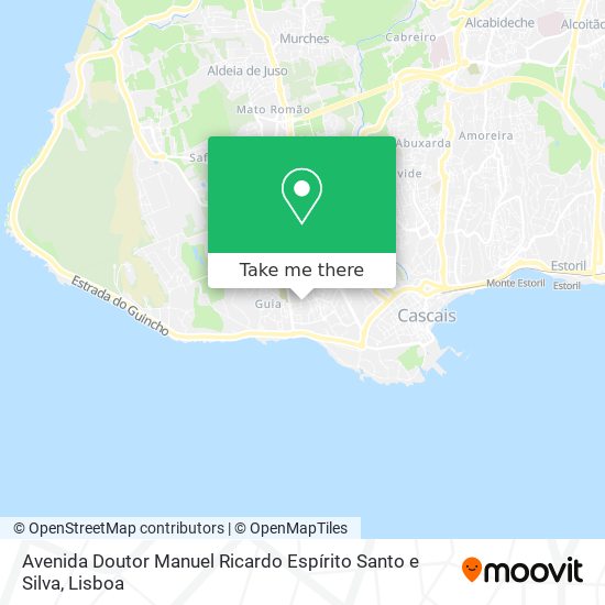 Avenida Doutor Manuel Ricardo Espírito Santo e Silva mapa