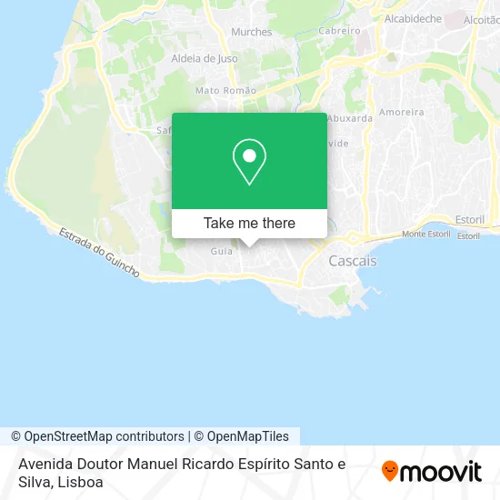 Avenida Doutor Manuel Ricardo Espírito Santo e Silva map
