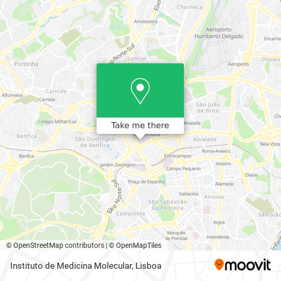 Instituto de Medicina Molecular mapa