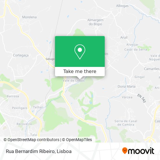 Rua Bernardim Ribeiro mapa