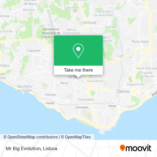 Mr Big Evolution map