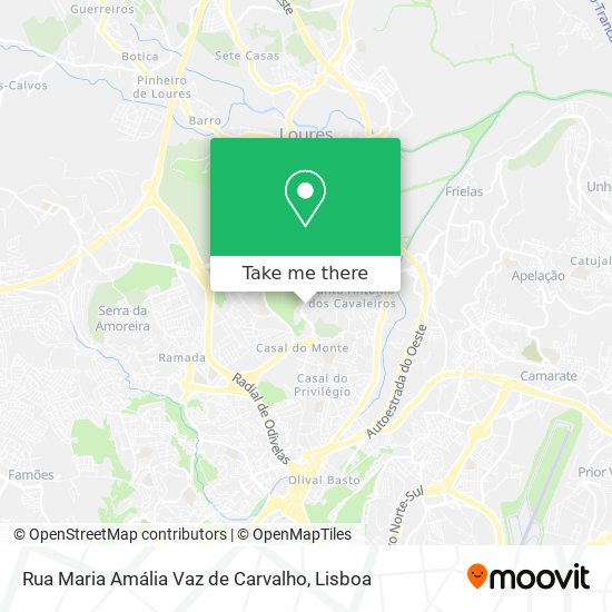 Rua Maria Amália Vaz de Carvalho mapa