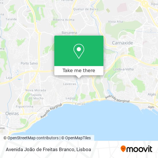 Avenida João de Freitas Branco mapa
