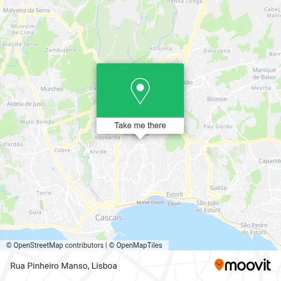 Rua Pinheiro Manso mapa