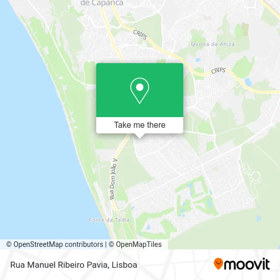 Rua Manuel Ribeiro Pavia map