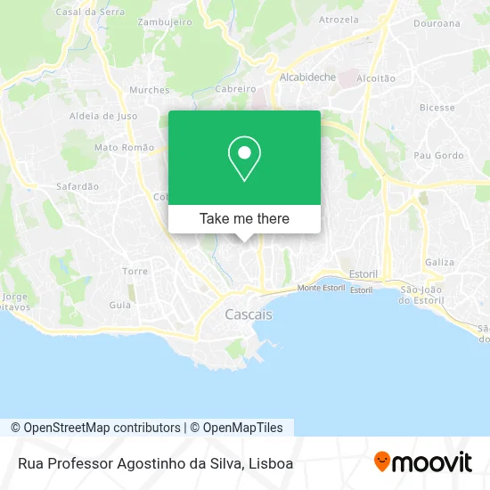 Rua Professor Agostinho da Silva map