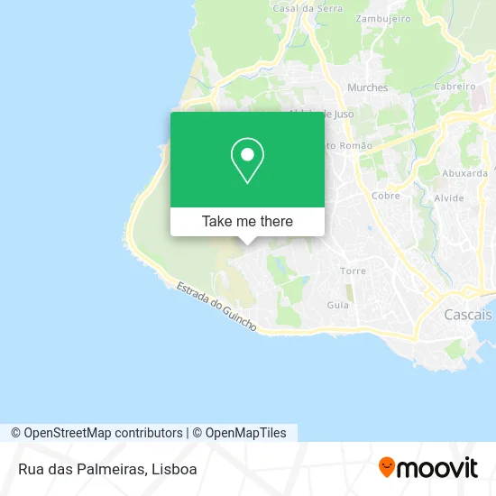 Rua das Palmeiras map