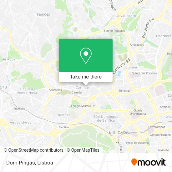 Dom Pingas map
