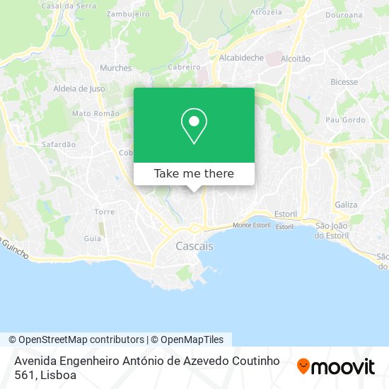 Avenida Engenheiro António de Azevedo Coutinho 561 mapa