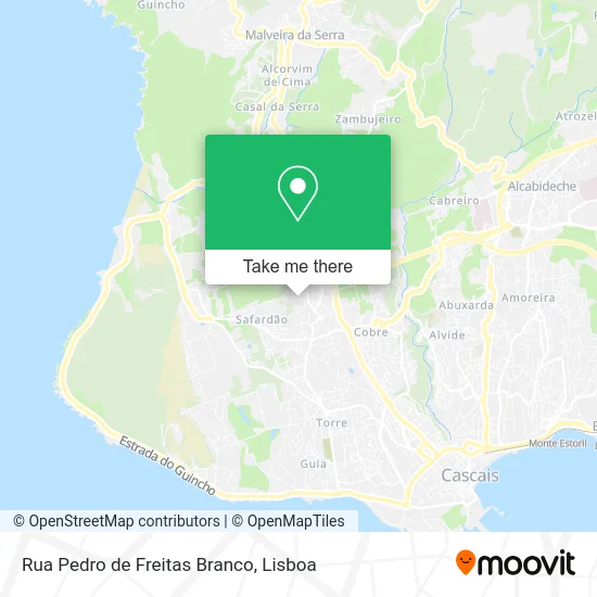 Rua Pedro de Freitas Branco map