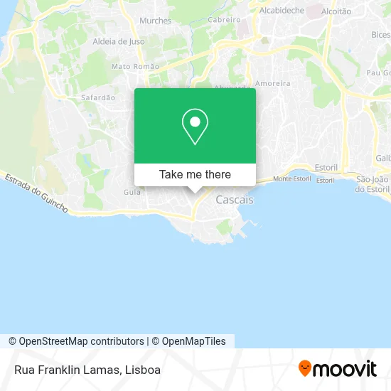 Rua Franklin Lamas map