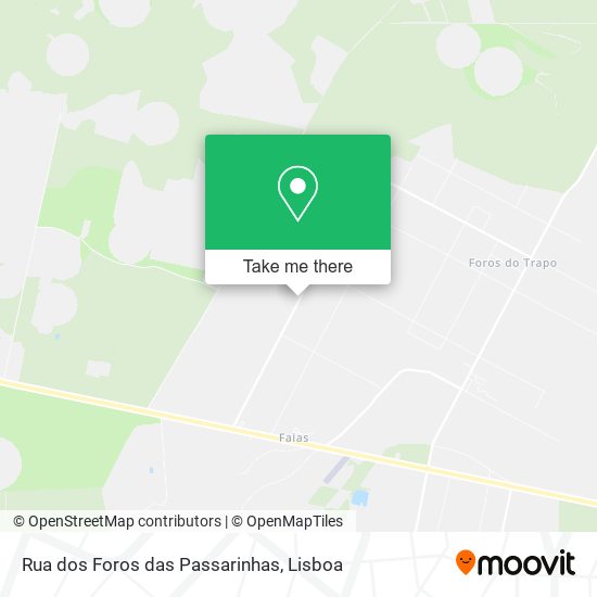 Rua dos Foros das Passarinhas map