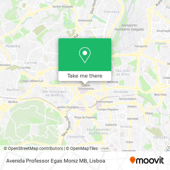 Avenida Professor Egas Moniz MB map