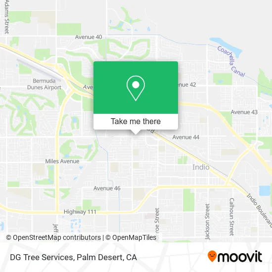 DG Tree Services map