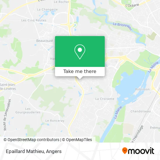 Epaillard Mathieu map