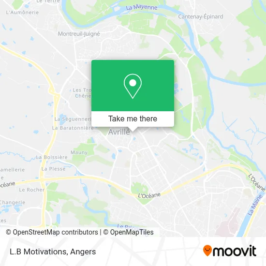 L.B Motivations map