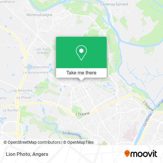 Lion Photo map