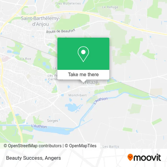 Beauty Success map