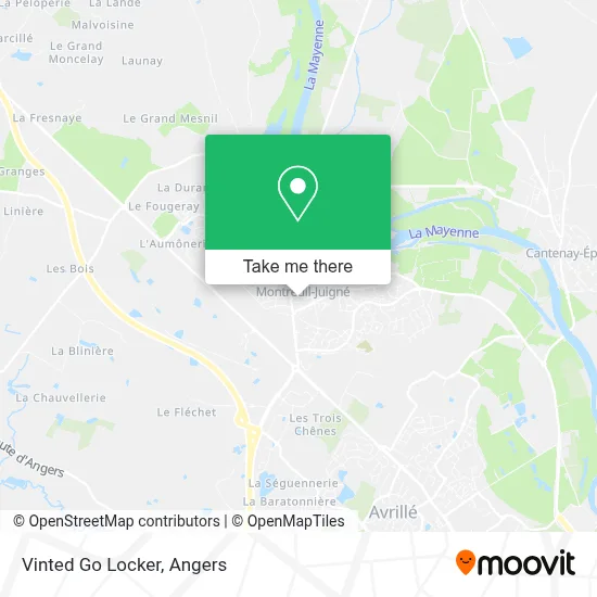 Vinted Go Locker map