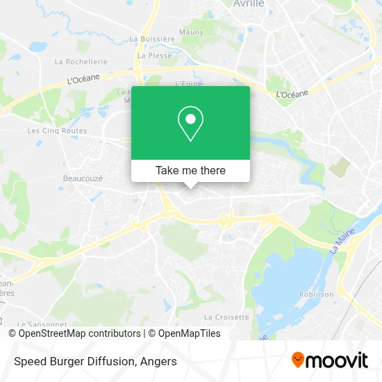 Speed Burger Diffusion map