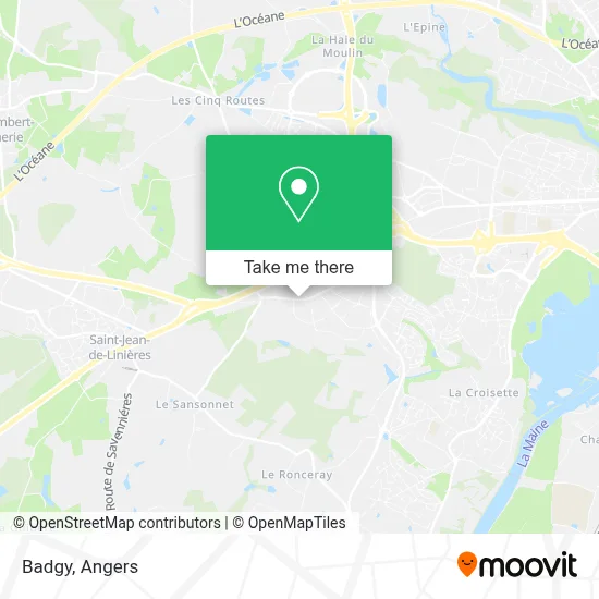 Badgy map