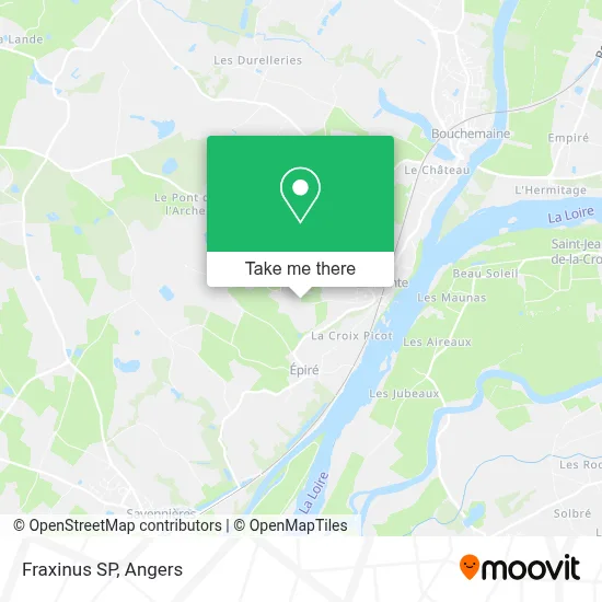 Fraxinus SP map