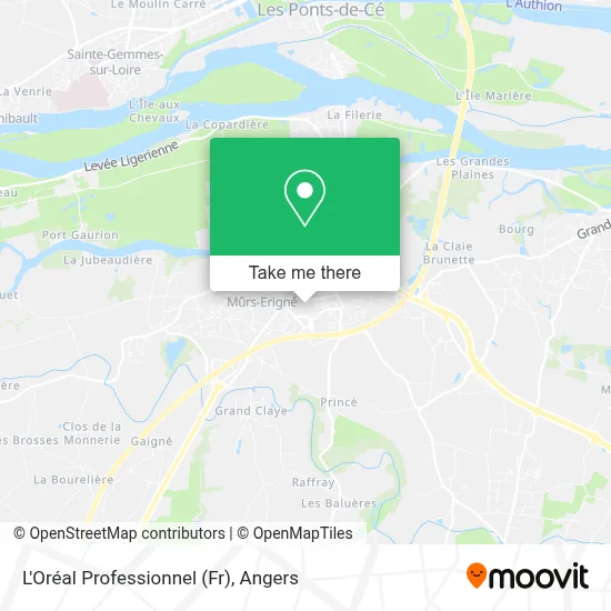 L'Oréal Professionnel (Fr) map