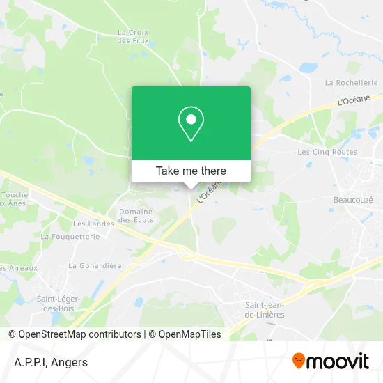 A.P.P.I map