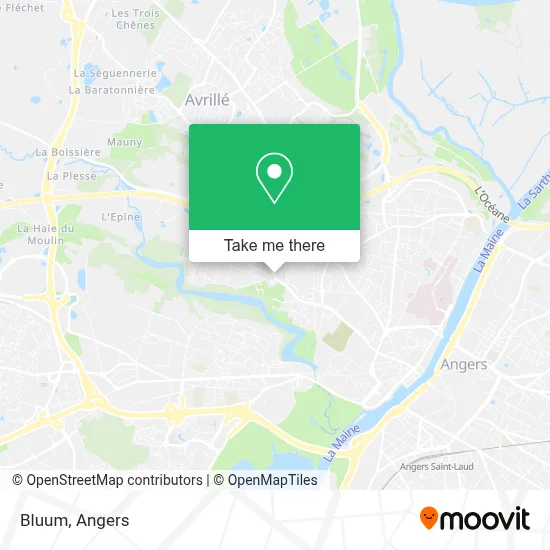 Bluum map