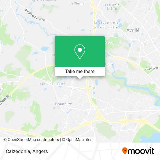 Calzedonia map