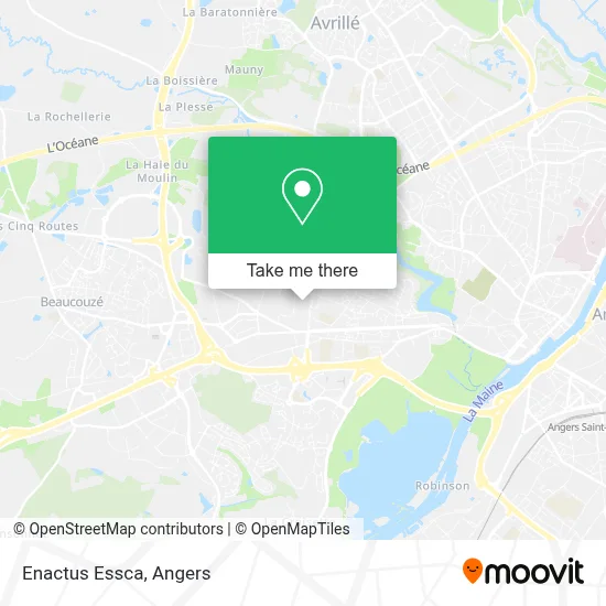 Enactus Essca map