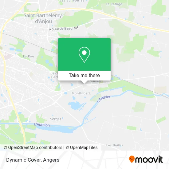 Dynamic Cover map