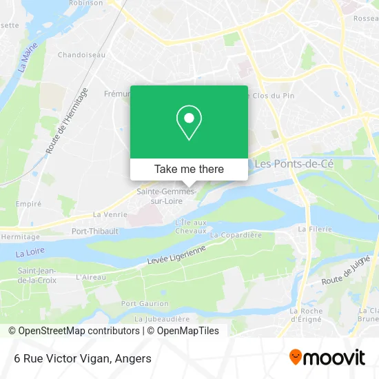 6 Rue Victor Vigan map