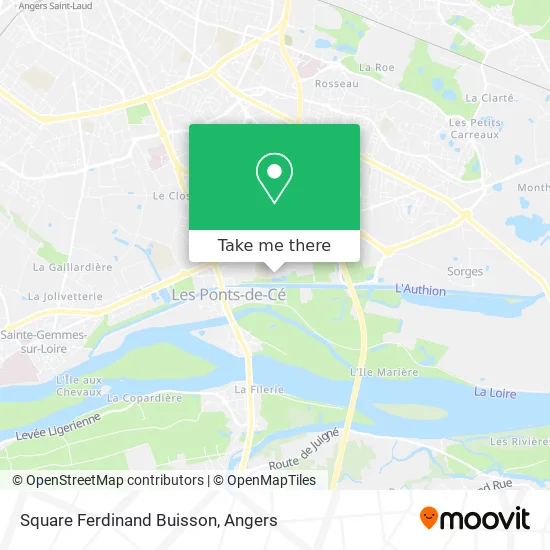 Square Ferdinand Buisson map