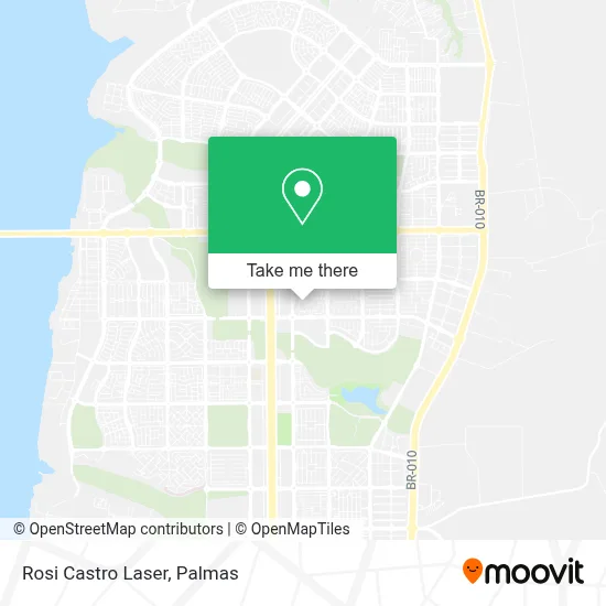 Rosi Castro Laser map